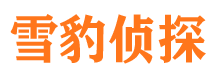 阜康市调查公司